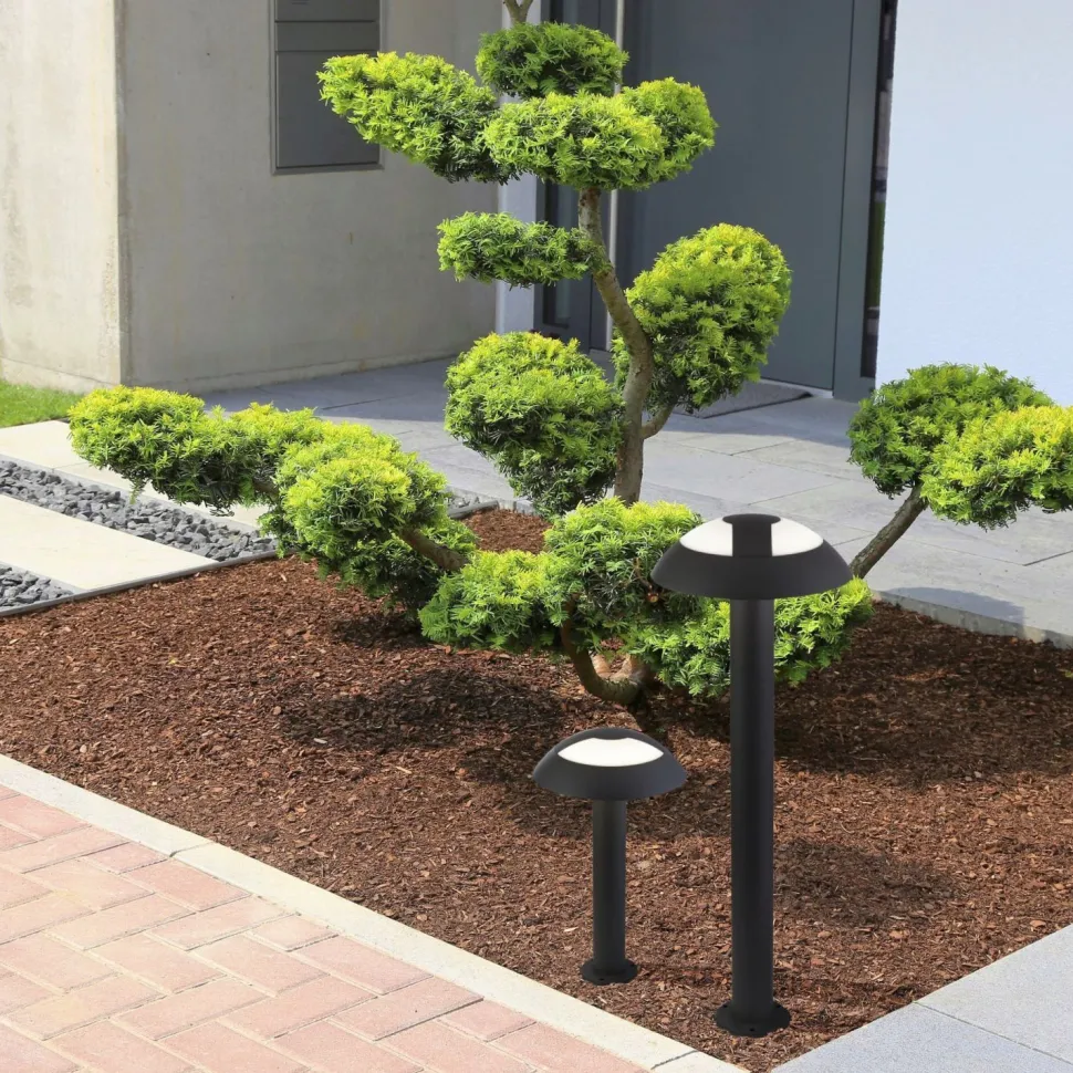 Außenleuchte LED Anthrazit IP44 4000 K 505 lm 73 cm