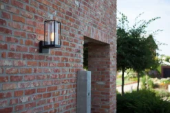 Außenwandleuchte Anthrazit IP44 Aluguss Glas ELLAYINA