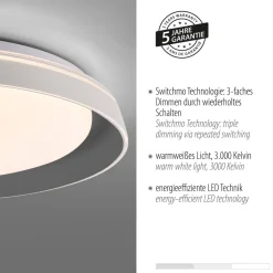 Blendarme LED Deckenlampe Grau Ø43 cm 2630 lm dimmbar