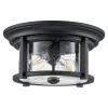 Deckenlampe außen rund Ø 33 cm Schwarz Transparent IP44