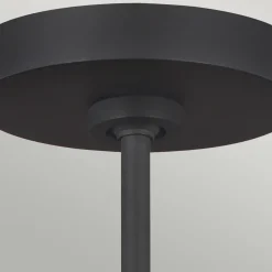 Deckenlampe Schwarz Gold verstellbar Modern ZENU