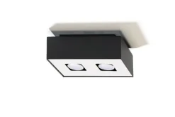 Deckenleuchte HYDRA in Schwarz 2-flmg