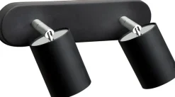 Deckenspot in Schwarz 2-flmg