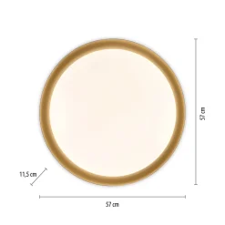 Dimmbare LED Deckenlampe Schwarz Gold Ø57 cm 3850 lm