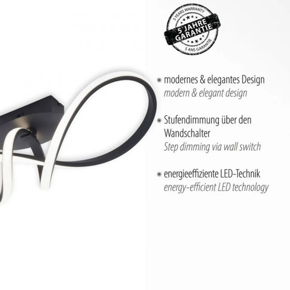 Dimmbare LED Deckenlampe Metall Schwarz 3000 K warmweiß