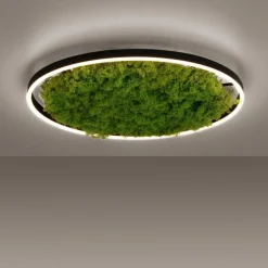 Dimmbare LED Deckenlampe Moos Schwarz 3000 K 28 W