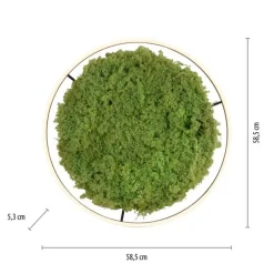 Dimmbare LED Deckenlampe Moos Schwarz 3000 K 28 W