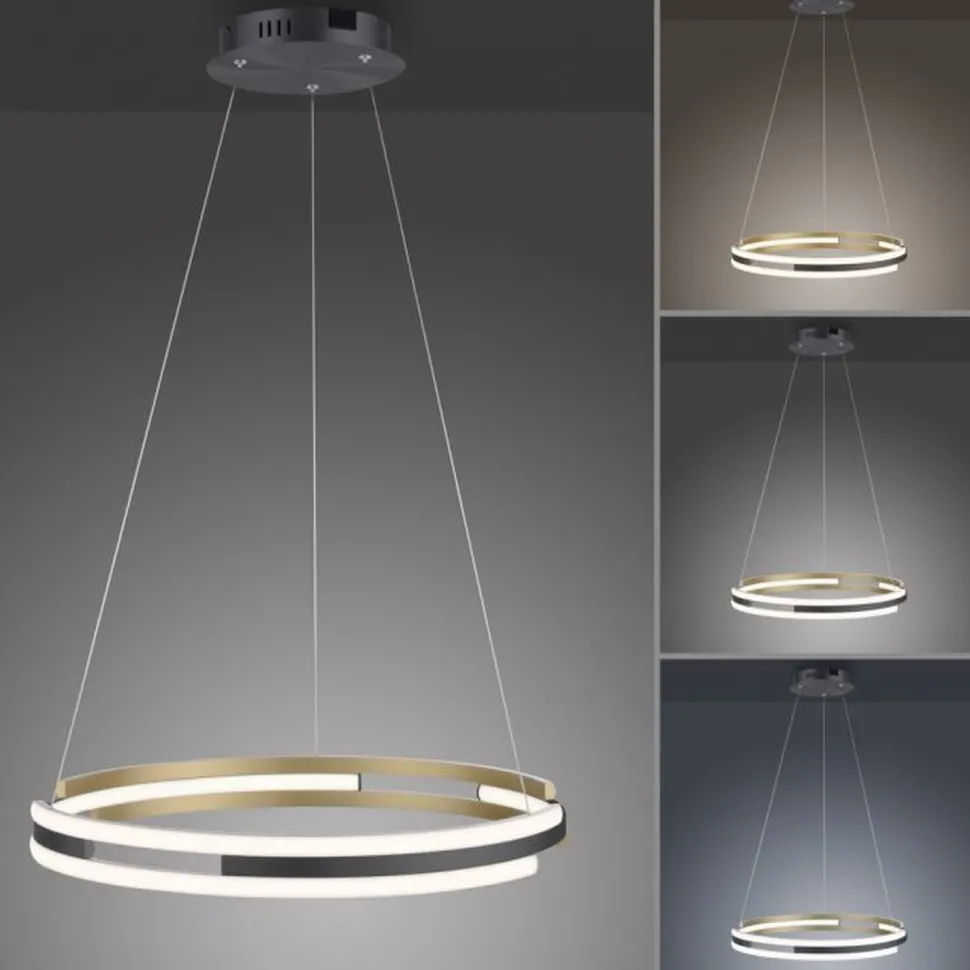 Dimmbare LED Pendelleuchte Metall Schwarz Ø60 cm Ring