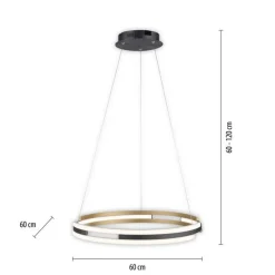 Dimmbare LED Pendelleuchte Metall Schwarz Ø60 cm Ring