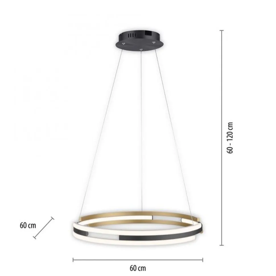 Dimmbare LED Pendelleuchte Metall Schwarz Ø60 cm Ring