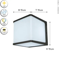 LED Außenwandlampe Anthrazit Aluminium IP54 4000 K 19 W