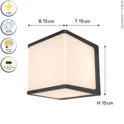 LED Außenwandlampe Anthrazit Aluminium IP54 3000 K 19 W