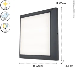 LED Außenwandleuchte Aluminium 4000 K IP54 blendarm