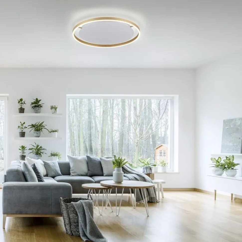 LED Deckenlampe dimmbar Ø58,5 cm 3650 lm in Messing