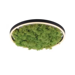 LED Deckenlampe Moos Schwarz 3000 K 2650 lm dimmbar