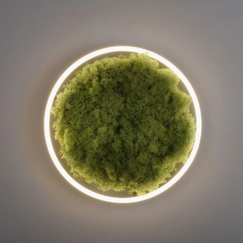 LED Deckenlampe Moos Schwarz 3000 K 2650 lm dimmbar