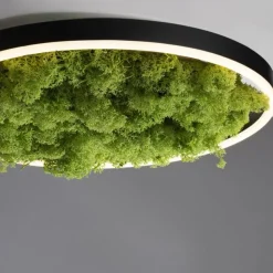 LED Deckenlampe Moos Schwarz 3000 K 2650 lm dimmbar