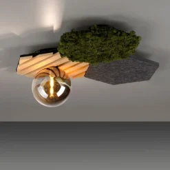 LED Deckenleuchte Filz Eiche Moos Rauchglas G9 blendarm