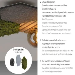 LED Deckenleuchte Filz Eiche Moos Rauchglas G9 blendarm