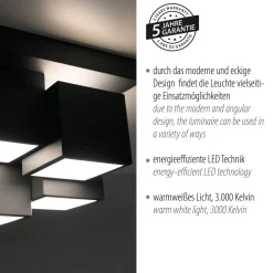 LED Deckenleuchte Metall Würfel B:30 cm 2400 lm Schwarz