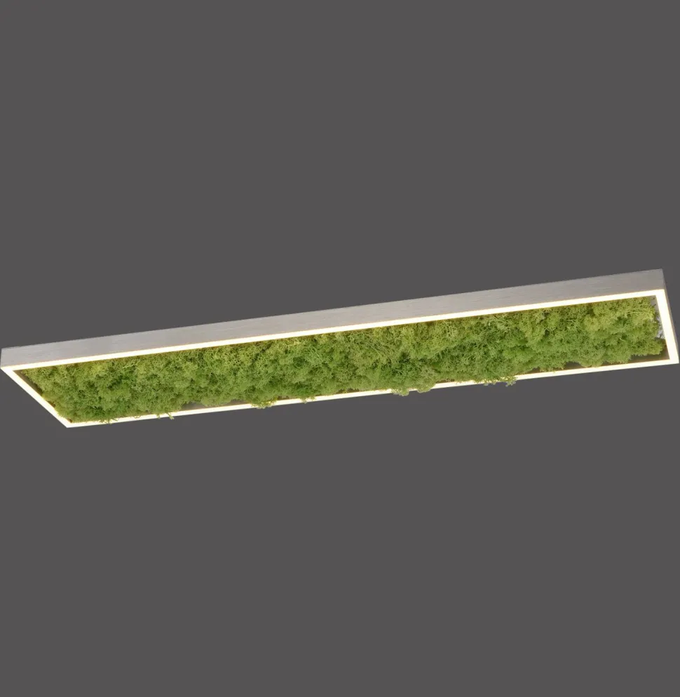 LED Deckenleuchte Moos L:100 cm 3000 K 3550 lm aus Moos