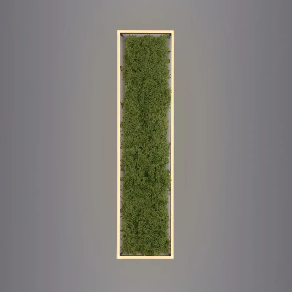 LED Deckenleuchte Moos L:100 cm 3000 K 3550 lm aus Moos