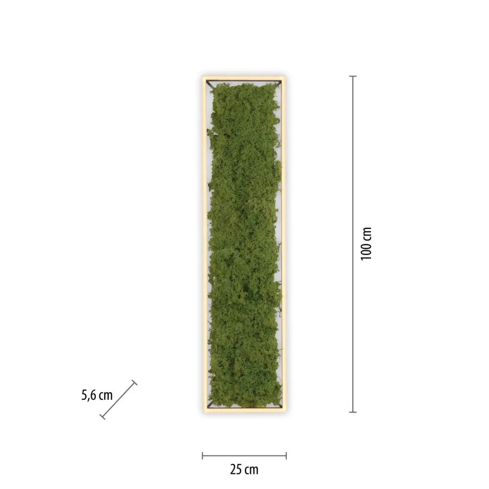 LED Deckenleuchte Moos L:100 cm 3000 K 3550 lm aus Moos