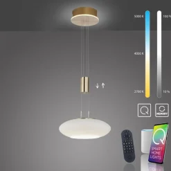 LED Hängelampe Glas in Messing dimmbar Fernbedienung