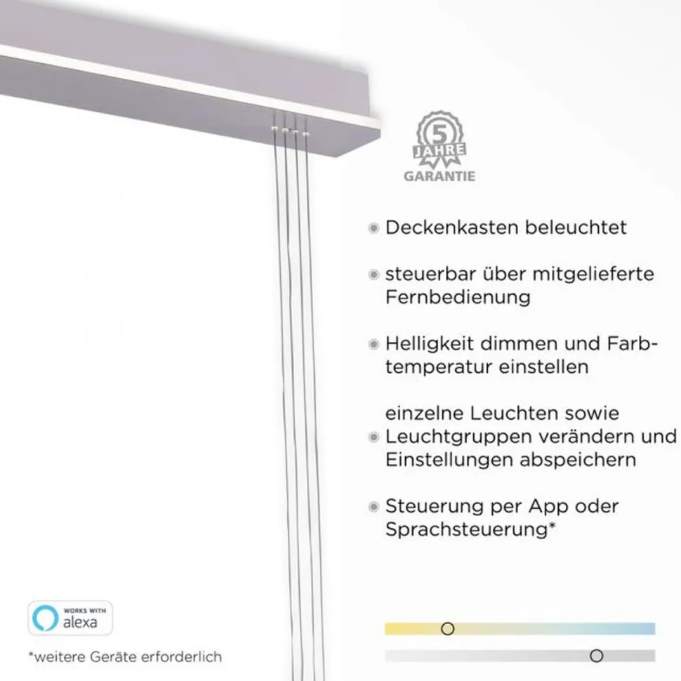 LED Hängelampe Glas in Stahl 2-flammig Fernbedienung