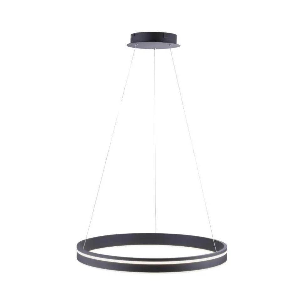 LED Hängelampe Ring Ø59 cm 38 W dimmbar Fernbedienung