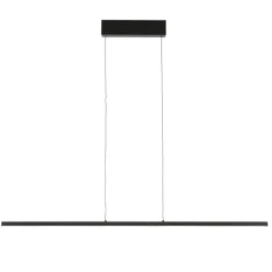 LED Hängelampe Schwarz 4000 K 120 cm lang höhenverstellbar