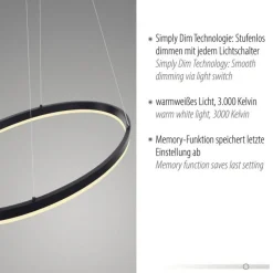 LED Pendelleuchte Anthrazit oval 3000 K L:80 cm dimmbar