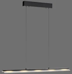 LED Pendelleuchte dimmbar Metall 100 cm 2900 lm Schwarz