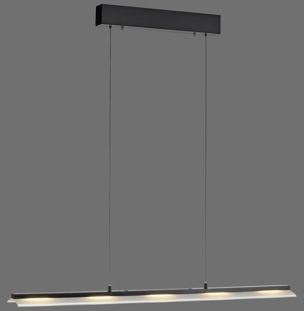 LED Pendelleuchte dimmbar Metall 100 cm 2900 lm Schwarz