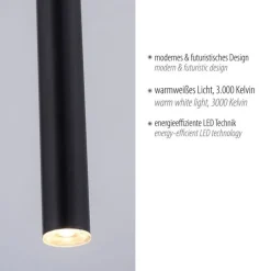 LED Pendelleuchte Schwarz Metall Ø2,5 cm rund dimmbar