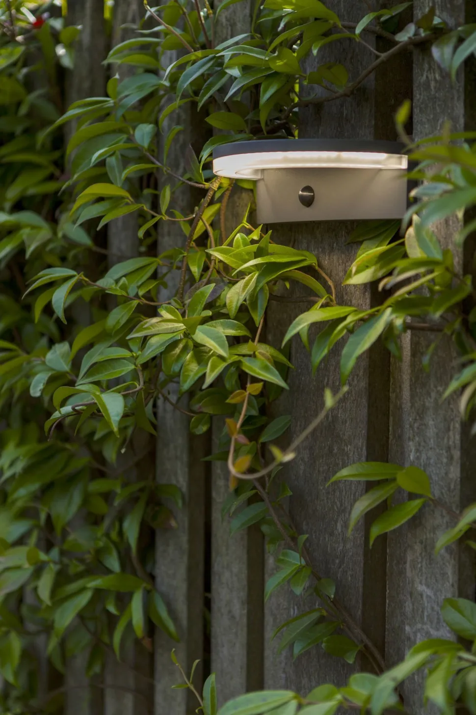 LED Solar Wandlampe Bewegungsmelder IP44 B:19 cm 4000 K