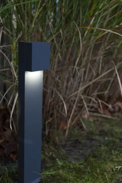 LED Stehlampe außen Aluminium IP54 10 W 65 cm Anthrazit