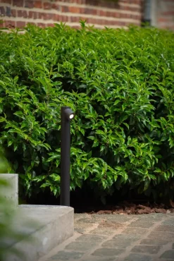 LED Stehleuchte Aluminium Schwarz 60 cm IP65 3000 K