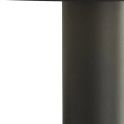 LED Wandlampe außen IP44 Anthrazit 4000 K 505 lm Modern