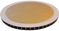 LED Wandlampe Gold Schwarz rund Ø30 cm 3500 K dimmbar