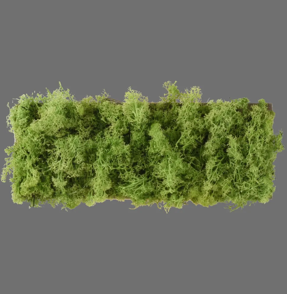 LED Wandlampe Up Down B:32 cm 3000 K 130 lm aus Moos