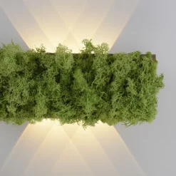 LED Wandlampe Up Down B:32 cm 3000 K 130 lm aus Moos