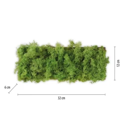 LED Wandlampe Up Down B:32 cm 3000 K 130 lm aus Moos