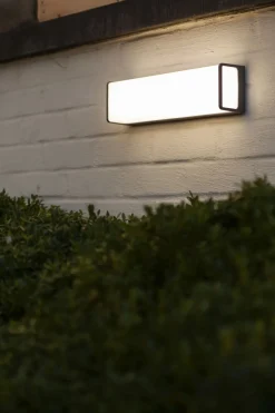 LED Wandleuchte Anthrazit Aluminium IP54 4000 K B:35 cm