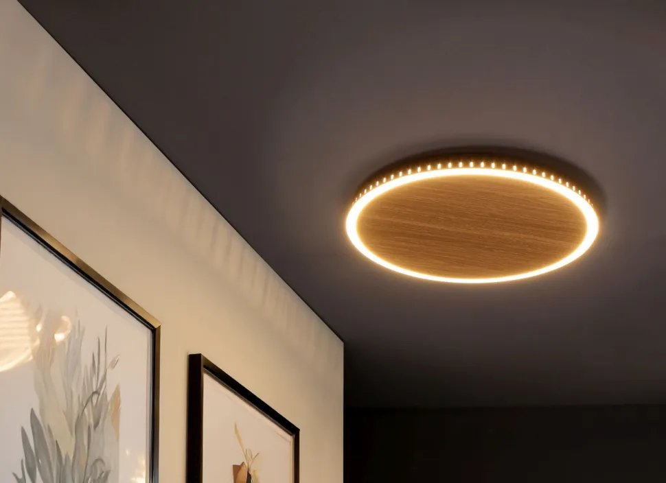 LED Wandleuchte Holz Schwarz rund Ø50 cm 3500 K dimmbar