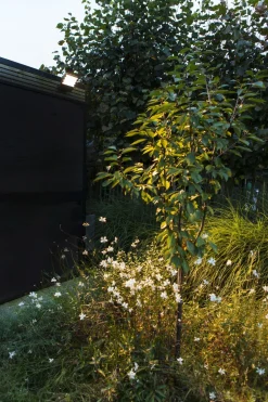 LED Wandleuchte Outdoor Aluminium 3000 K IP54 beweglich