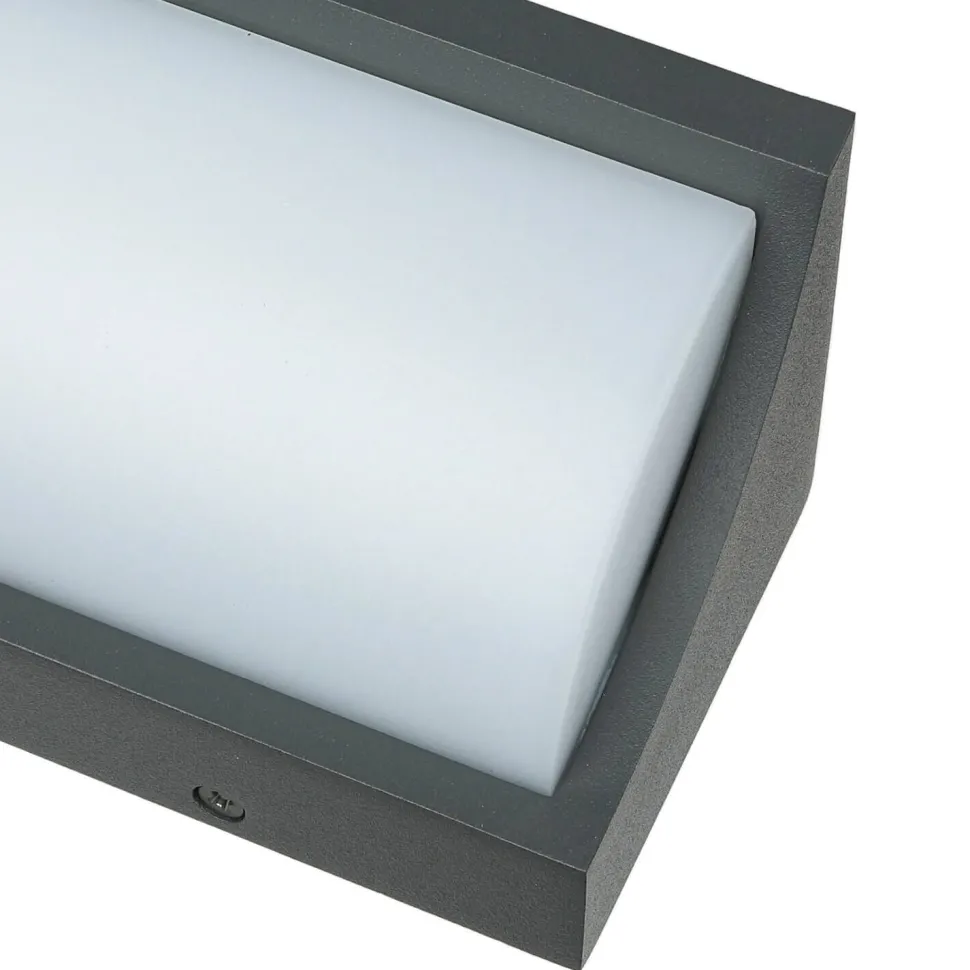 LED Wandleuchte TENBOS Anthrazit IP65 Modern Außen