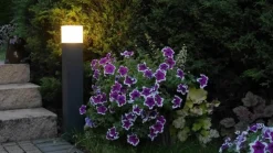 Outdoor Deckenlampe AWERNE IP44 Schwarz E27