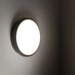 Runde LED Außenwandleuchte IP54 Aluminium Schwarz 18 W