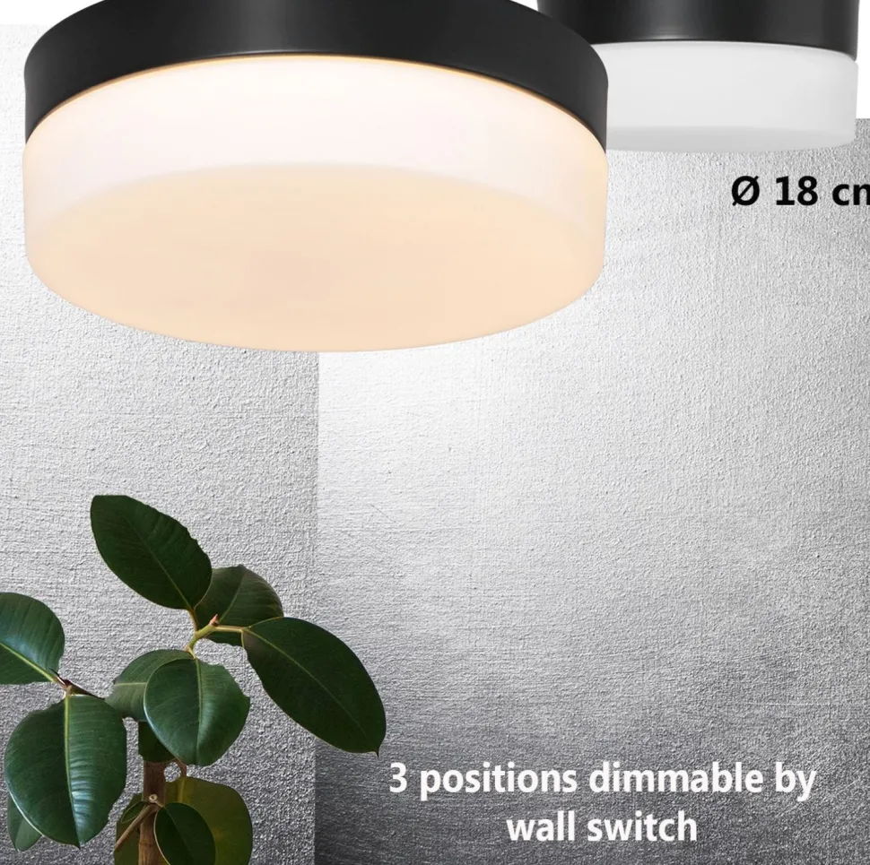 Runde LED Deckenlampe Glas Metall IP44 Ø18 cm 12 W